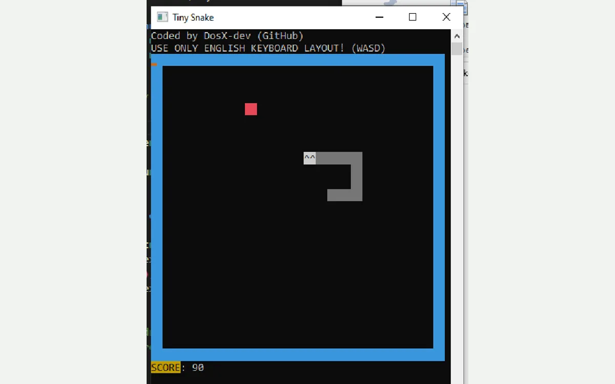 Snake game board layout used for arrow-key practice on a local Windows install.